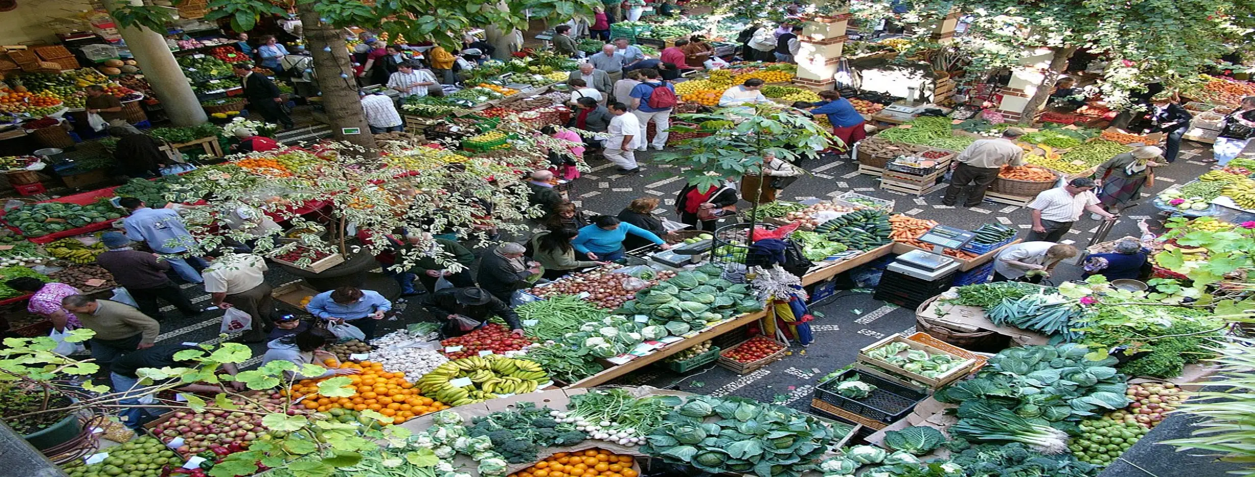 Image for Funchal Market